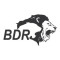 BDR  Pharmaceuticals