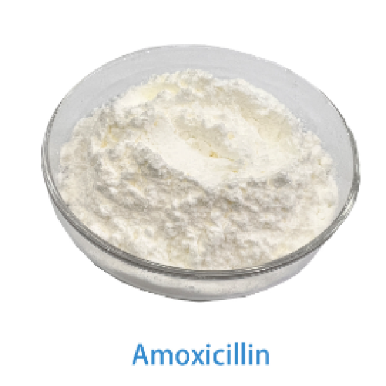 Amoxicillin API