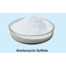 Gentamycin API