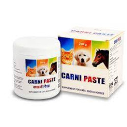 CARNI PASTE(L-carnithine/d-panthenol)