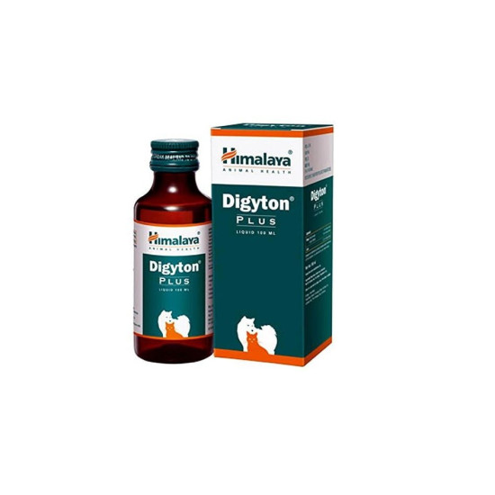 DIGYTON SYP 100ML