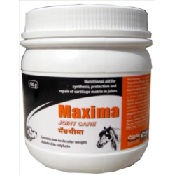 MAXIMA POWDER (Glucosamine)